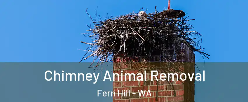 Chimney Animal Removal Fern Hill - WA