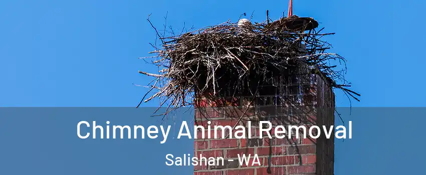 Chimney Animal Removal Salishan - WA