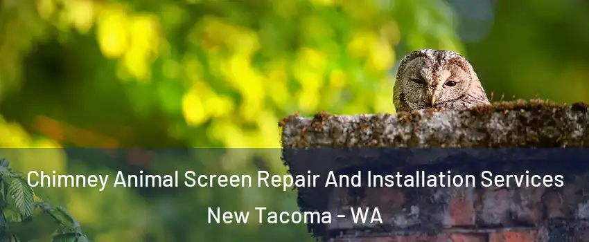 Chimney Animal Screen Repair And Installation Services New Tacoma - WA