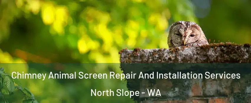 Chimney Animal Screen Repair And Installation Services North Slope - WA