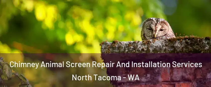 Chimney Animal Screen Repair And Installation Services North Tacoma - WA