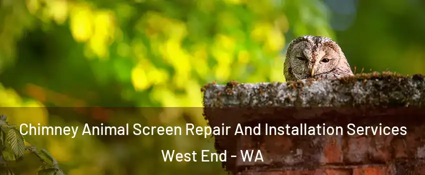 Chimney Animal Screen Repair And Installation Services West End - WA