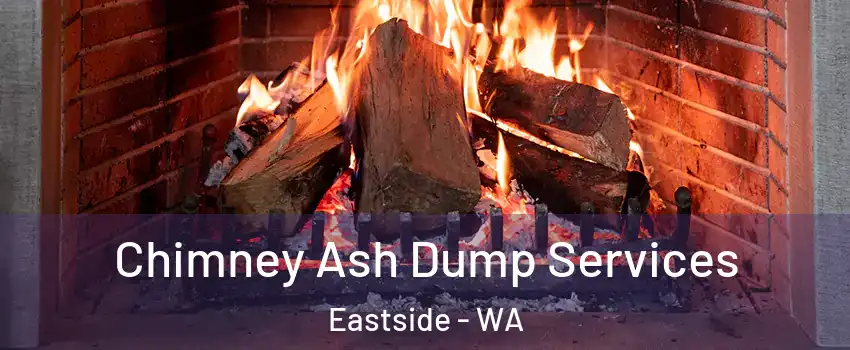 Chimney Ash Dump Services Eastside - WA