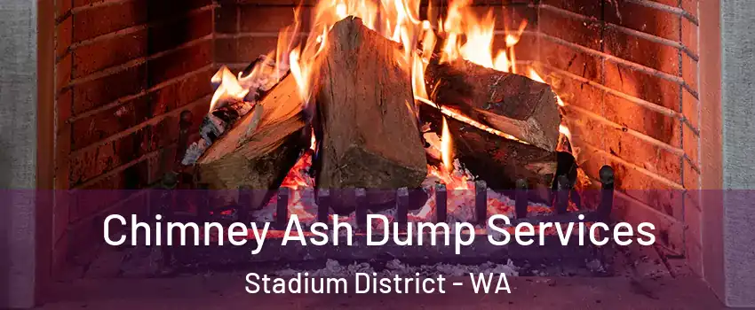 Chimney Ash Dump Services Stadium District - WA