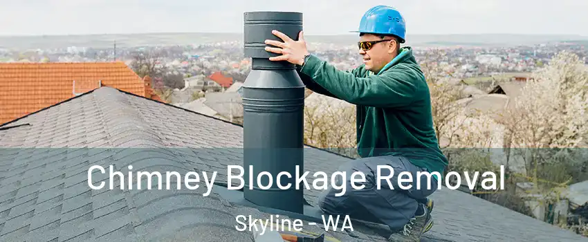 Chimney Blockage Removal Skyline - WA