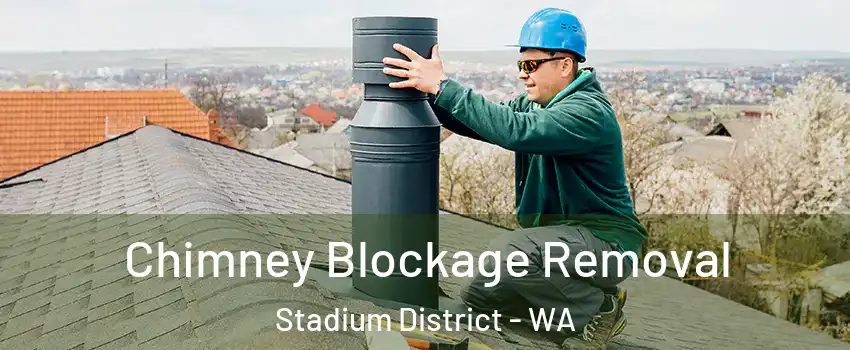 Chimney Blockage Removal Stadium District - WA