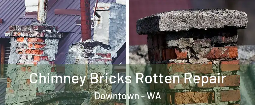 Chimney Bricks Rotten Repair Downtown - WA