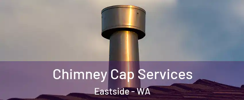 Chimney Cap Services Eastside - WA
