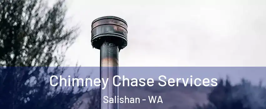 Chimney Chase Services Salishan - WA