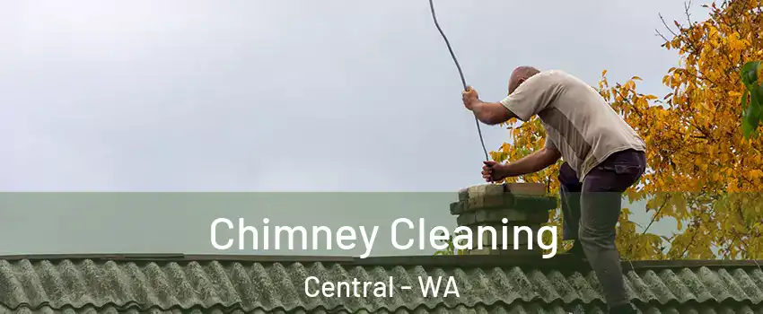 Chimney Cleaning Central - WA