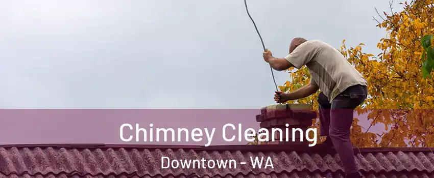 Chimney Cleaning Downtown - WA