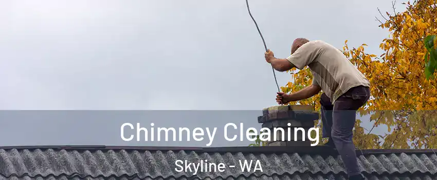 Chimney Cleaning Skyline - WA