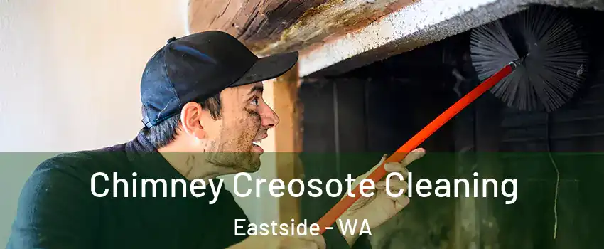 Chimney Creosote Cleaning Eastside - WA