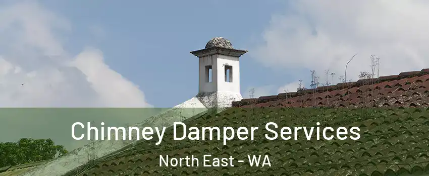 Chimney Damper Services North East - WA