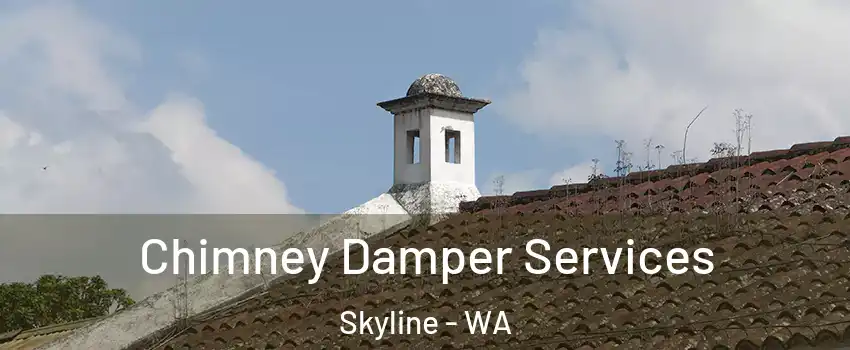 Chimney Damper Services Skyline - WA