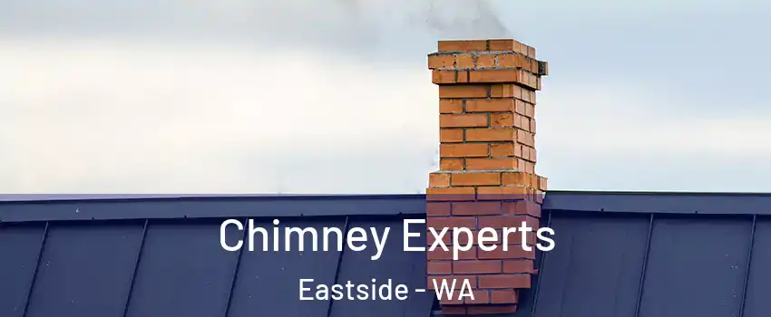 Chimney Experts Eastside - WA