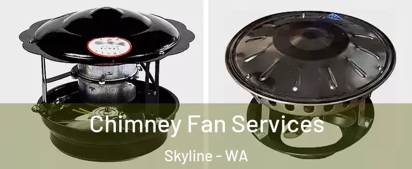 Chimney Fan Services Skyline - WA