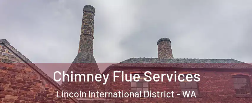 Chimney Flue Services Lincoln International District - WA