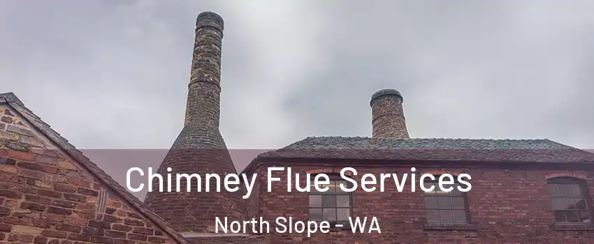 Chimney Flue Services North Slope - WA