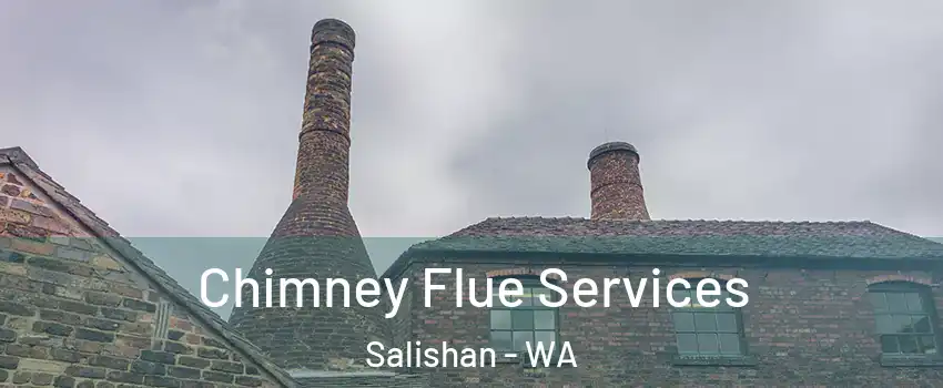 Chimney Flue Services Salishan - WA