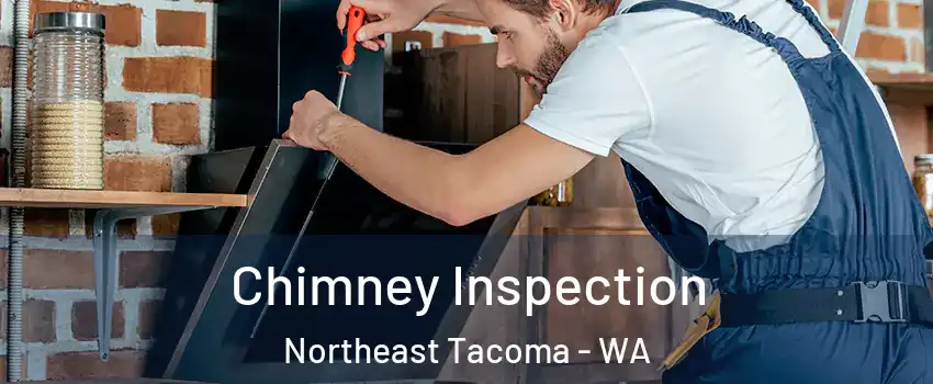 Chimney Inspection Northeast Tacoma - WA