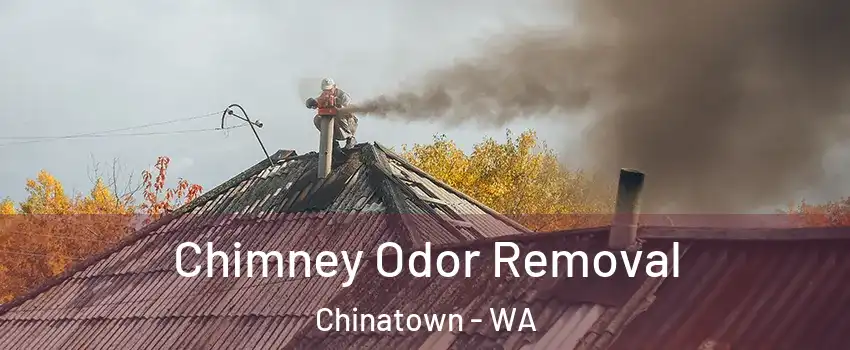 Chimney Odor Removal Chinatown - WA