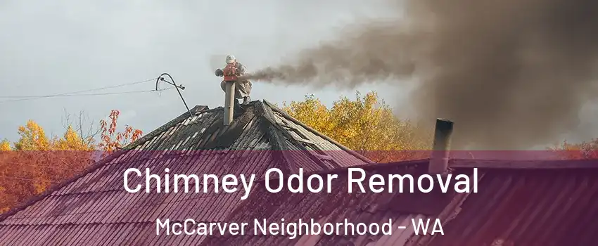 Chimney Odor Removal McCarver Neighborhood - WA