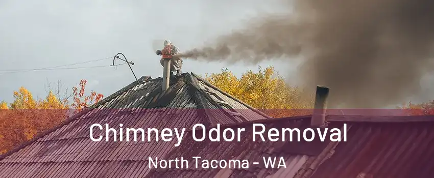 Chimney Odor Removal North Tacoma - WA