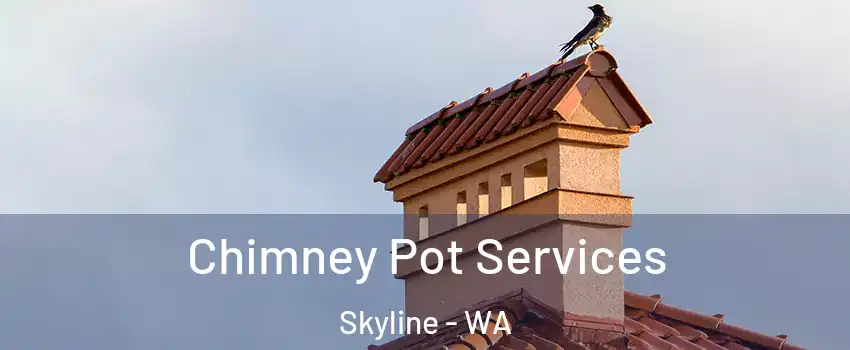 Chimney Pot Services Skyline - WA