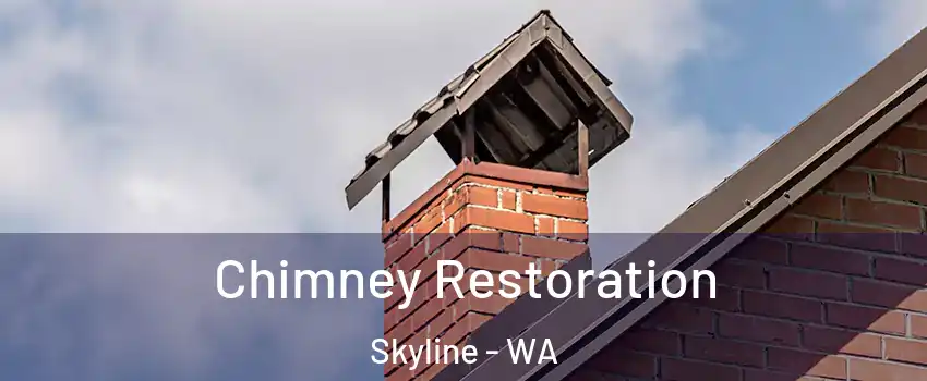Chimney Restoration Skyline - WA