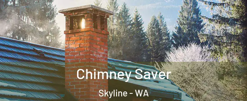 Chimney Saver Skyline - WA