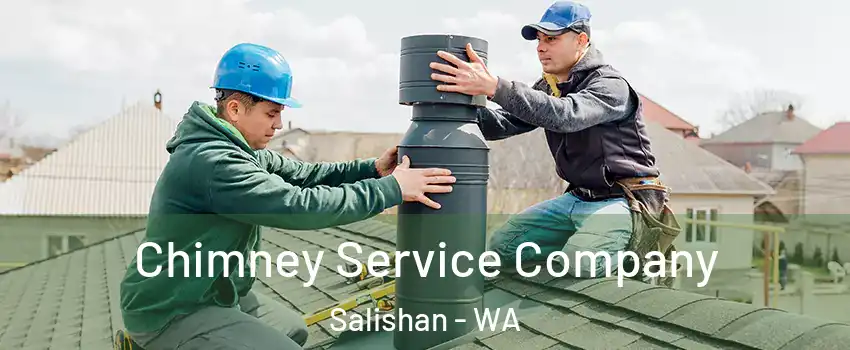 Chimney Service Company Salishan - WA