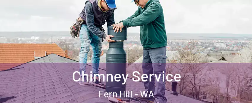Chimney Service Fern Hill - WA