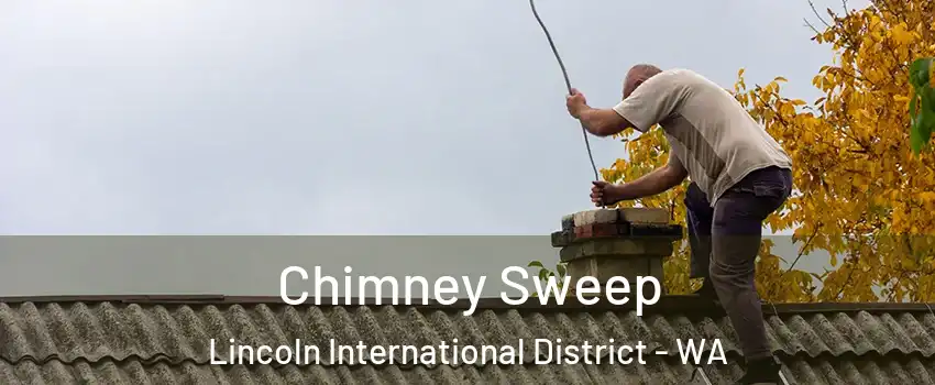 Chimney Sweep Lincoln International District - WA