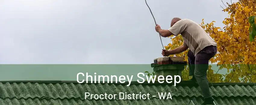 Chimney Sweep Proctor District - WA