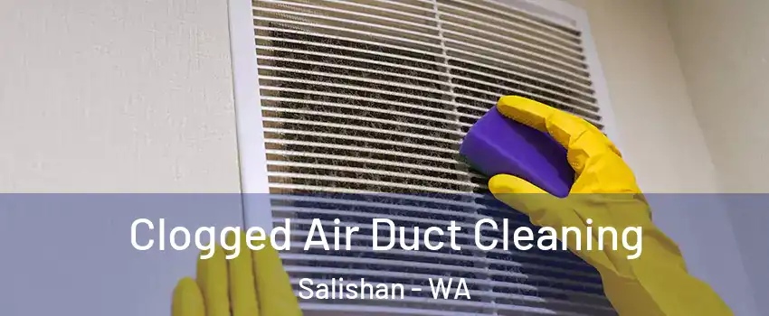 Clogged Air Duct Cleaning Salishan - WA