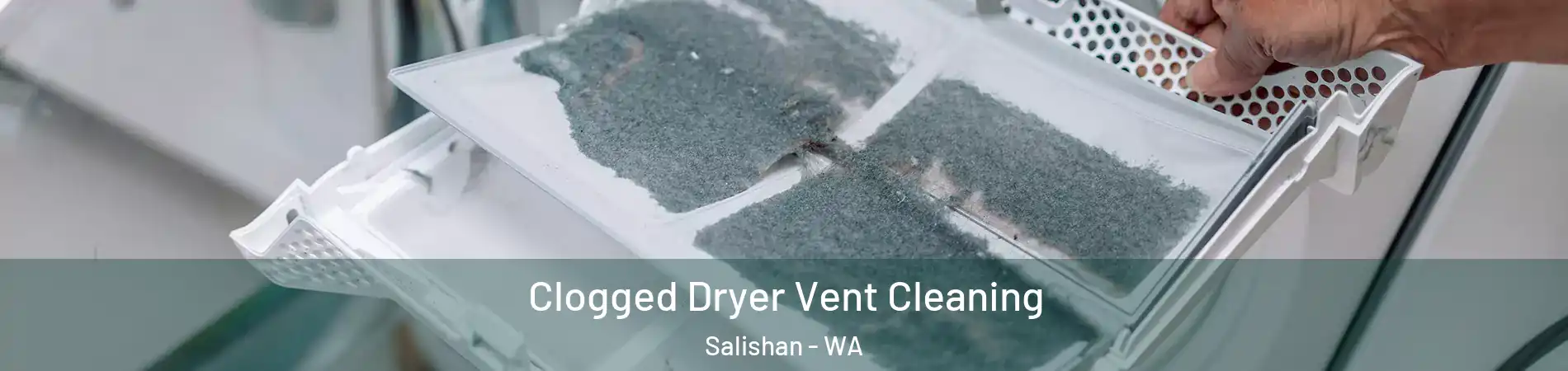 Clogged Dryer Vent Cleaning Salishan - WA