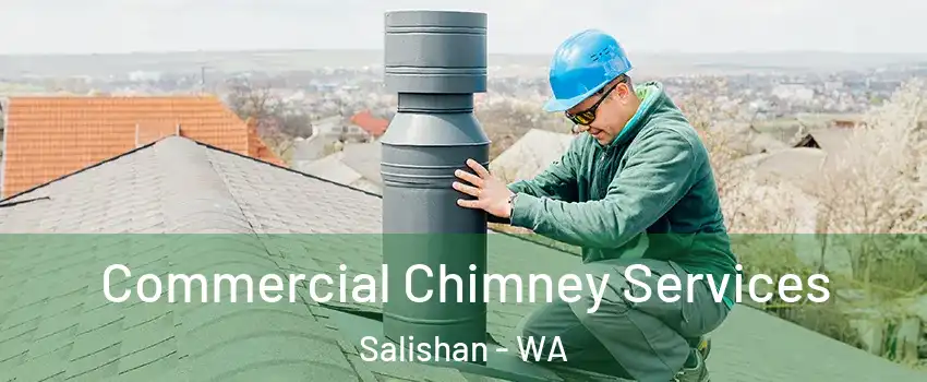 Commercial Chimney Services Salishan - WA