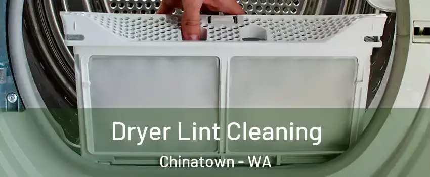 Dryer Lint Cleaning Chinatown - WA