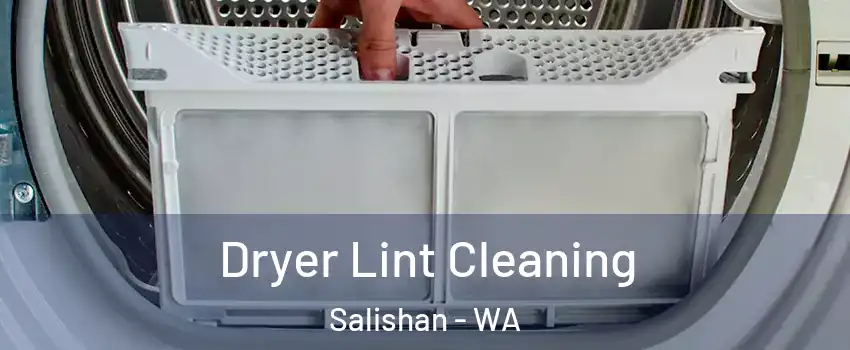 Dryer Lint Cleaning Salishan - WA