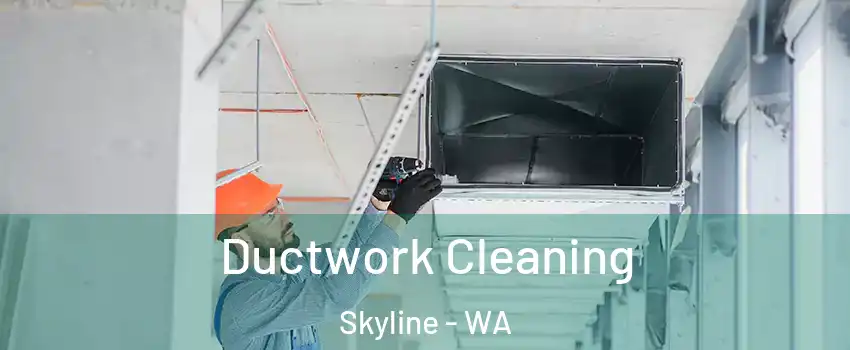 Ductwork Cleaning Skyline - WA