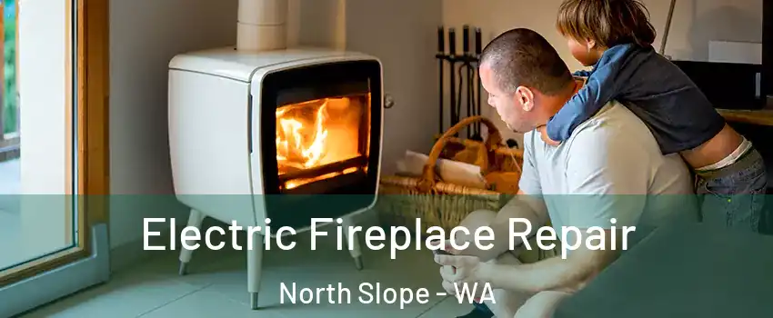 Electric Fireplace Repair North Slope - WA