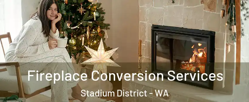 Fireplace Conversion Services Stadium District - WA