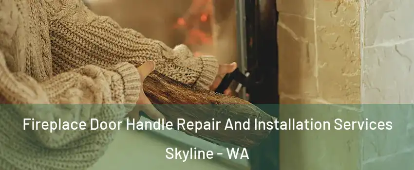 Fireplace Door Handle Repair And Installation Services Skyline - WA