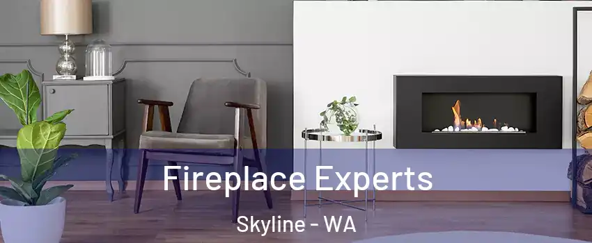 Fireplace Experts Skyline - WA
