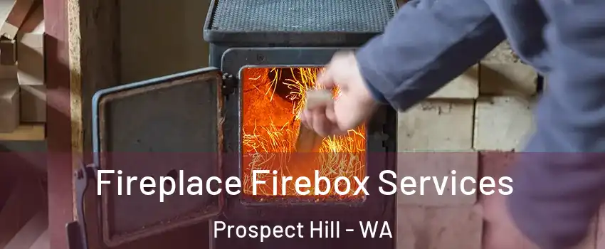 Fireplace Firebox Services Prospect Hill - WA