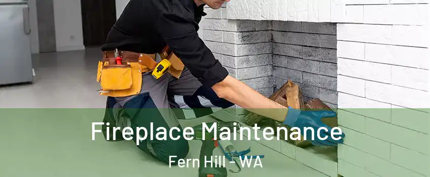 Fireplace Maintenance Fern Hill - WA