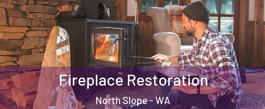 Fireplace Restoration North Slope - WA