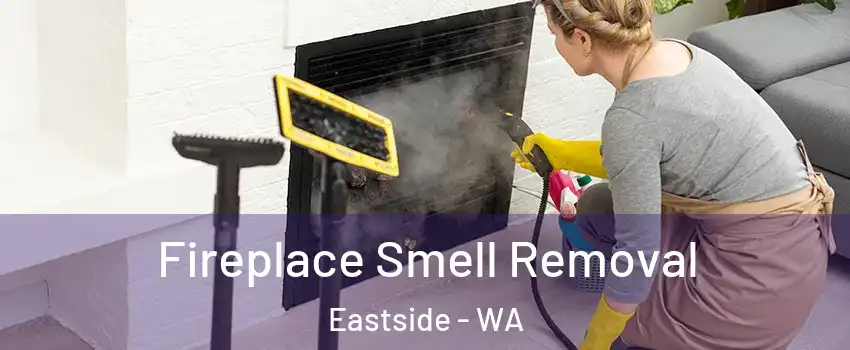 Fireplace Smell Removal Eastside - WA