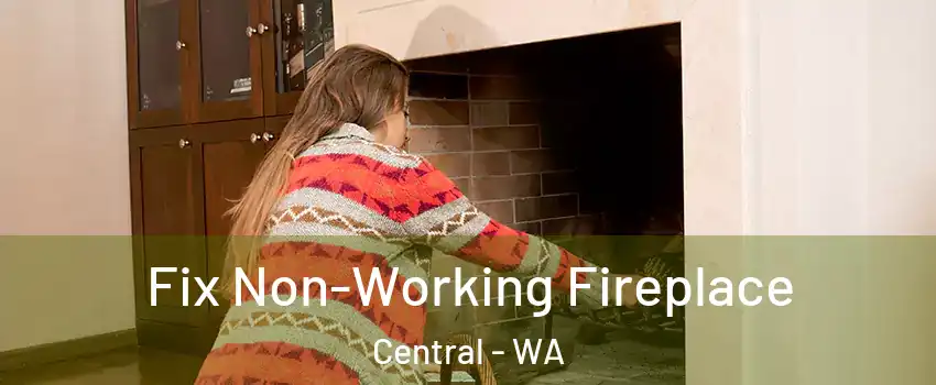 Fix Non-Working Fireplace Central - WA